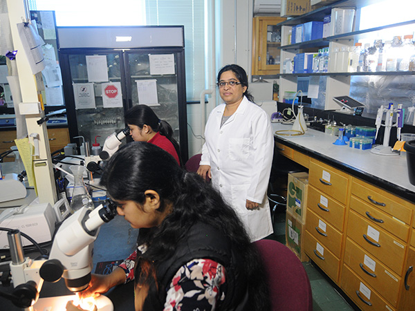 Dr. Madhuri Kango-Singh, associate professor of biology, with two graduate students