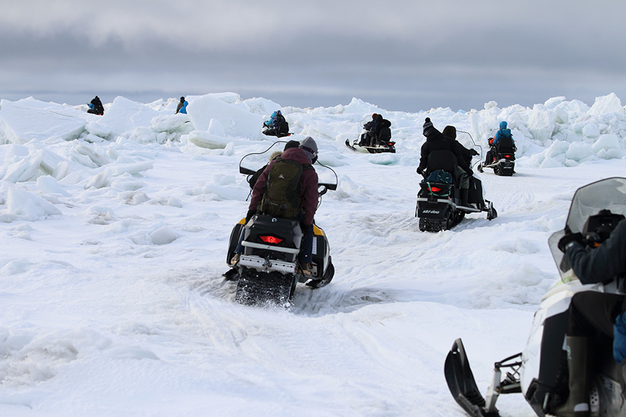 Group on snowmobiles