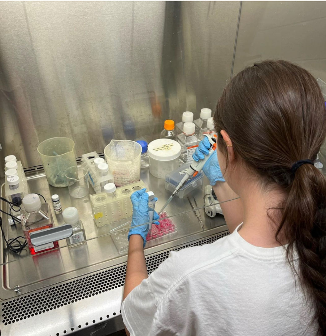 BSTI student Nicolina conducting her research in the lab, furthering her research in biology. 