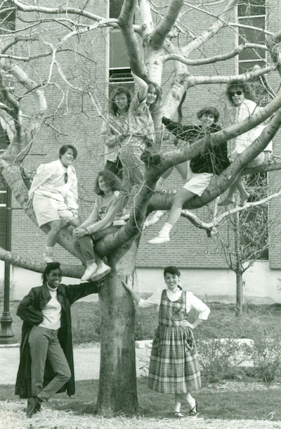Group of students, some of whom are in a tree.