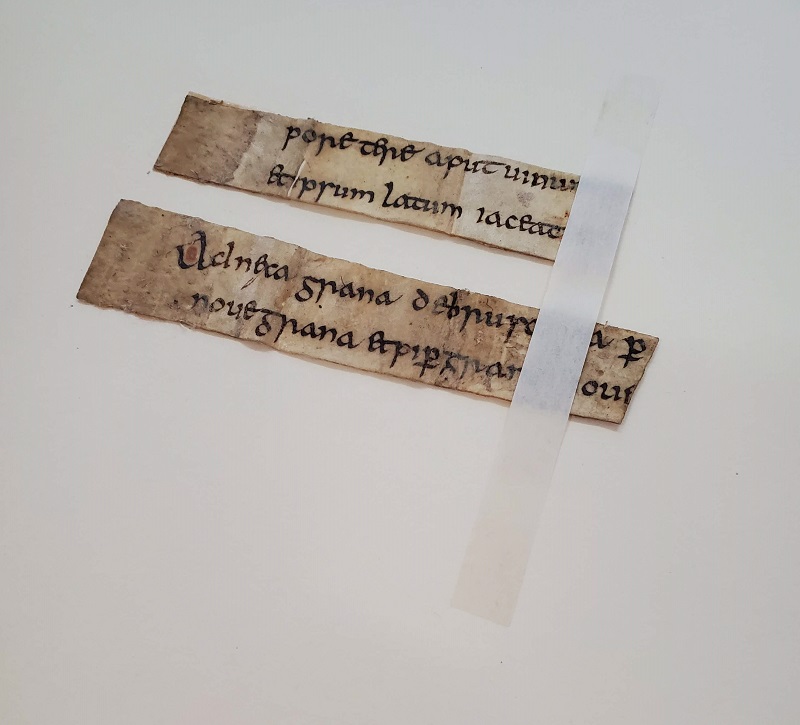Medieval manuscript leaf with hinge