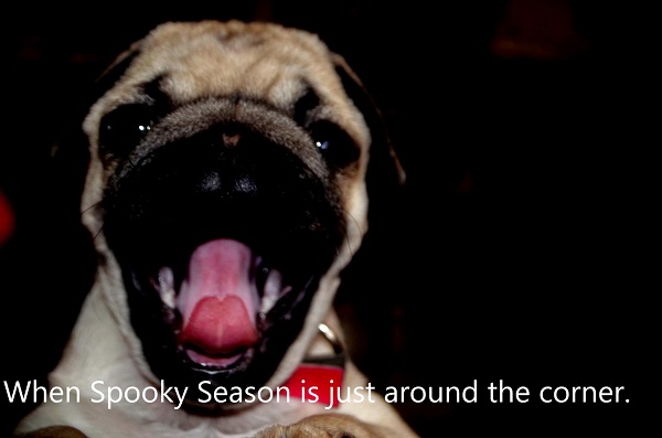 Photo of a dog's open mouth. Words say, "When spooky season is just around the corner."