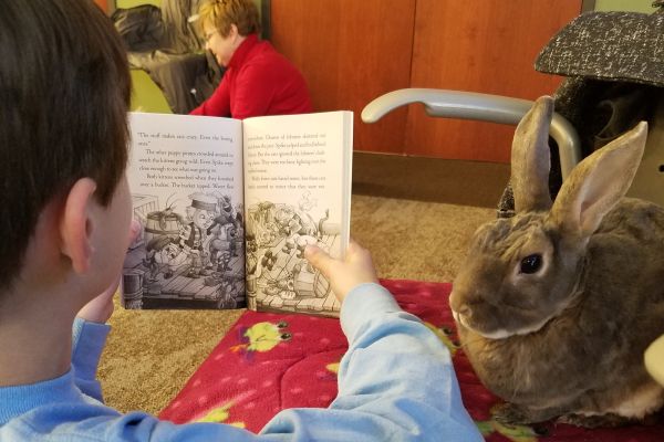 Rocky is a regular at area libraries’ reading programs; MVPTA animals also serve at hospices, hospitals, nursing homes and schools. 