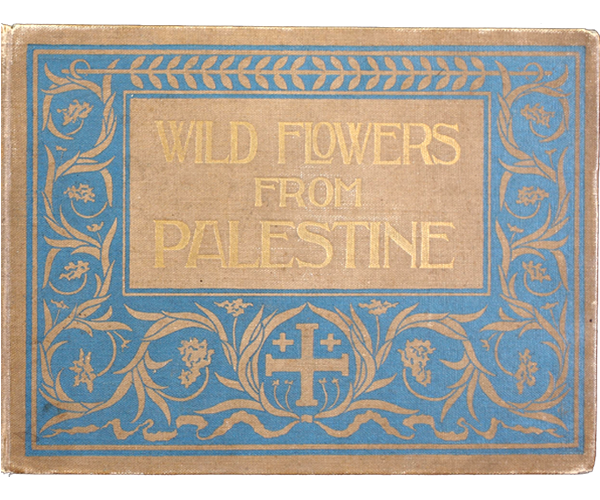Cover of Wild Flowers from Palestine