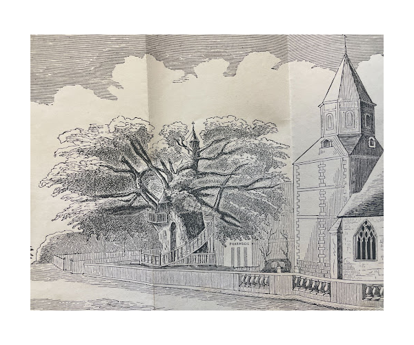 black and white illustrated oak tree and "chapel/treehouse" near church building