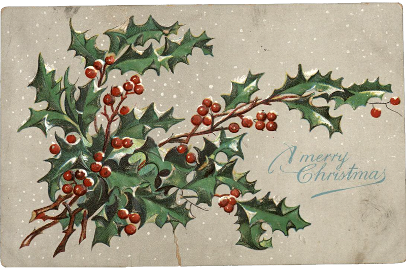 Embossed Christmas postcard with “A merry Christmas” printed at the bottom right in blue. To the left of the message is a cluster of green holly leaves and red holly berries against a gray background with small white dots reminiscent of falling snowflakes.   