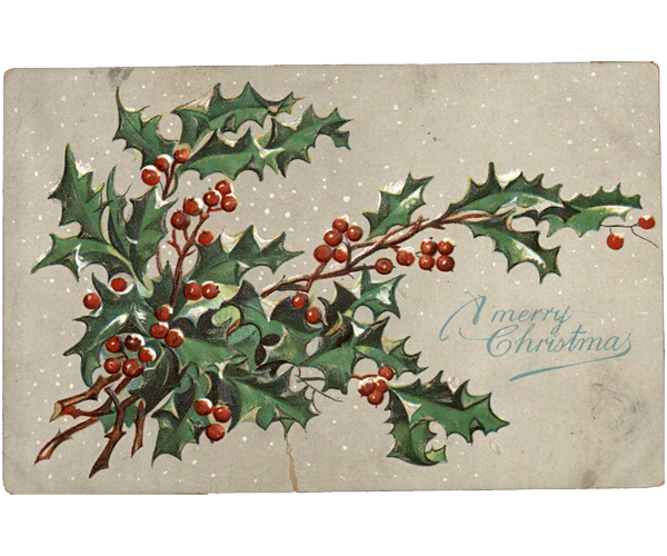 Embossed Christmas postcard with “A merry Christmas” printed at the bottom right in blue. To the left of the message is a cluster of green holly leaves and red holly berries against a gray background with small white dots reminiscent of falling snowflakes. 