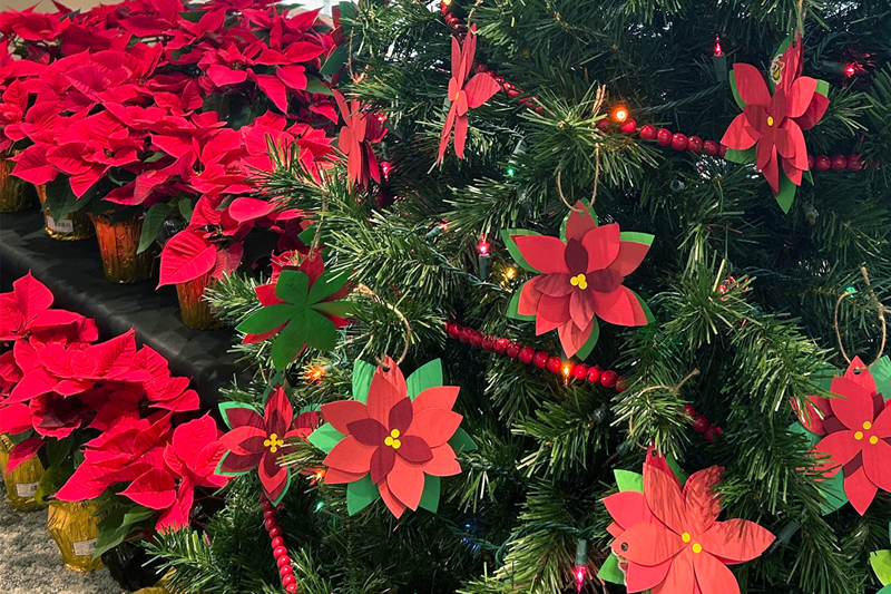 Closeup of a Christmas tree adorned with hand-made poinsettia ornaments. To the left is a ledge filled with live, red poinsettias in gold foil-wrapped pots.