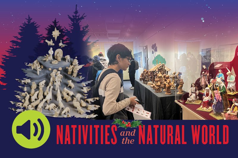 Illustrated pine trees that are part of the "Nativities and the Natural World" branding. Embedded photo of a student holding their phone, listening to the audio tour while looking at a large Nativity scene. Audio icon shown.