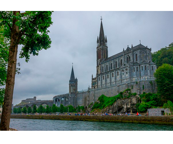 Side view of the Basilica along the riverside with a tree in the left foreground