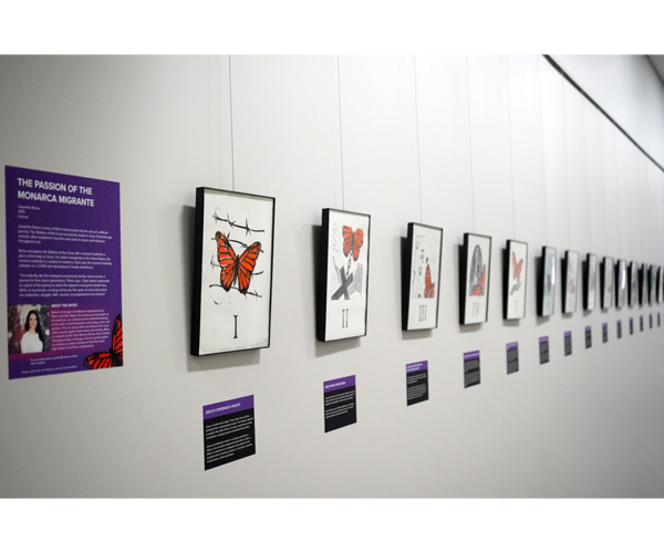 Fifteen prints on white paper hang in thin black frames on a white wall. The prints use black and orange ink to depict Stations of the Cross with a monarch butterfly rather than Jesus Christ. Underneath each print is a black label with a purple strip across the top with white text. On the far left, a purple introduction panel with white text features a photograph of the artist. 