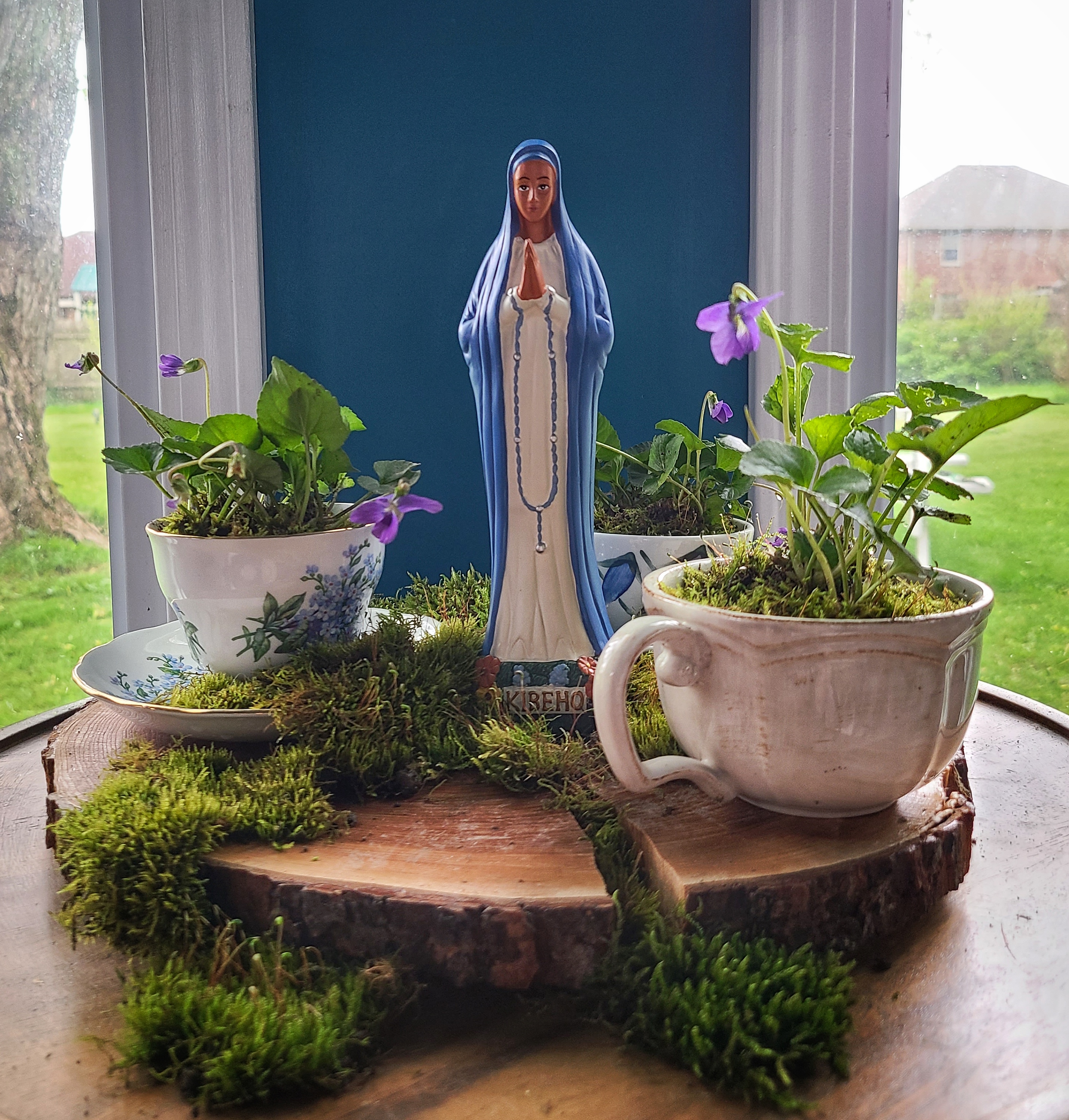 Our Lady of Kibeho teacup garden with wild violets