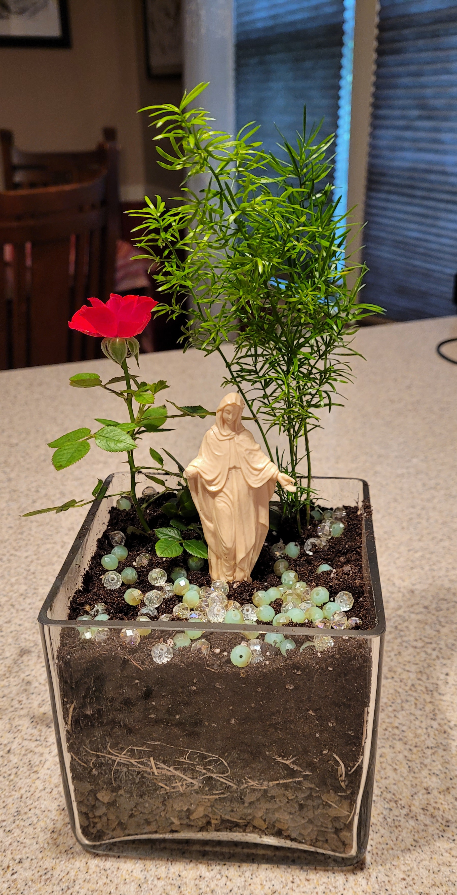 Mary garden in square glass container