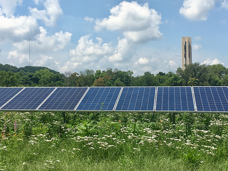 The solar prairie covers more than 6 acres in what had been a grassy area.
