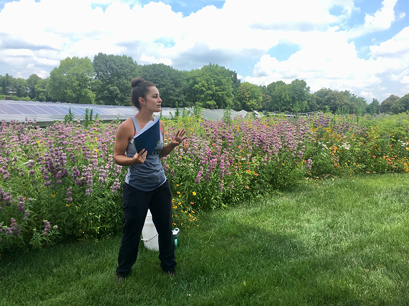 Former Hanley Sustainability Institute student leader Elise Erhart talks about the solar array and pollinator prairie working together.
