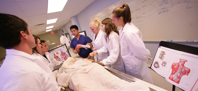 Physical therapy students learn from faculty in the anatomy lab.
