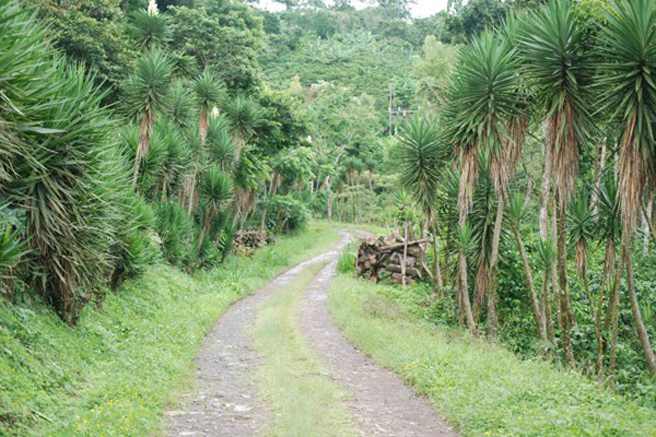 La Selva Negra, Nicaragua