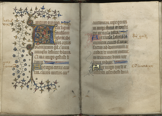 Marian hymn “Ave lignum excelsum gloriae” in a manuscript Latin Book of Hours