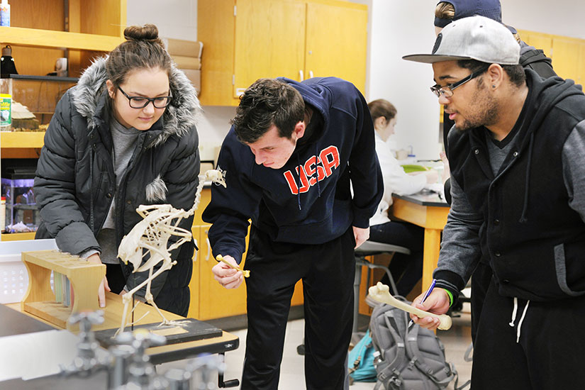 Students look at an animal skeleton in a biology lab. 