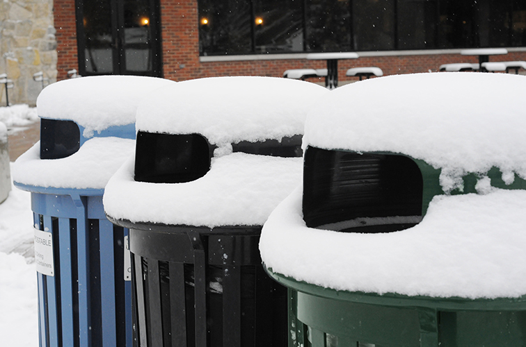 Trash bins get covered in snow.