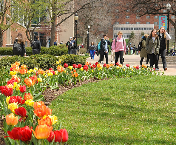 Tulips greet students.