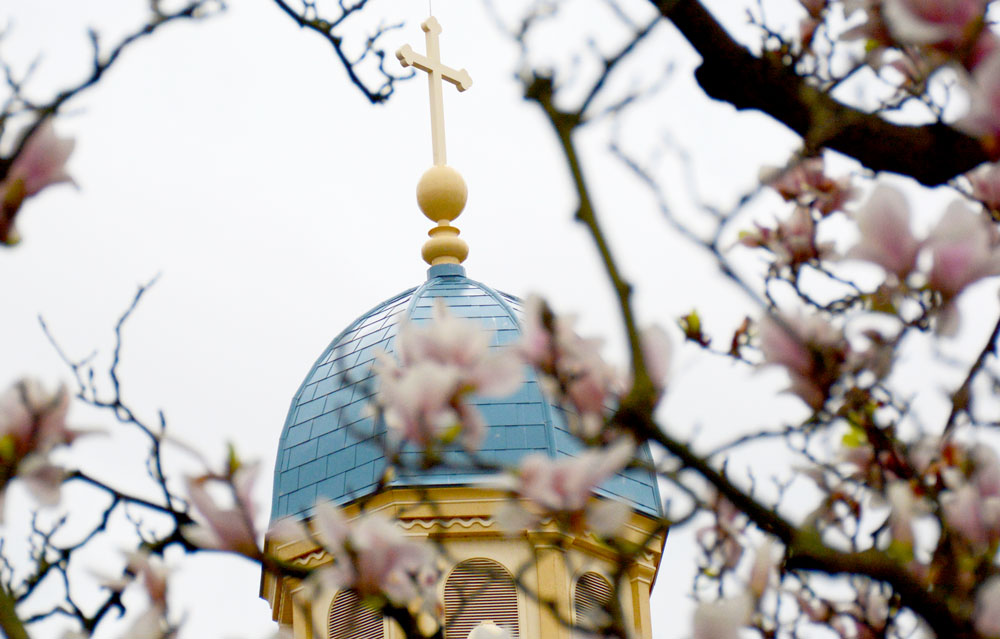 The chapel dome surrounded by flowers.