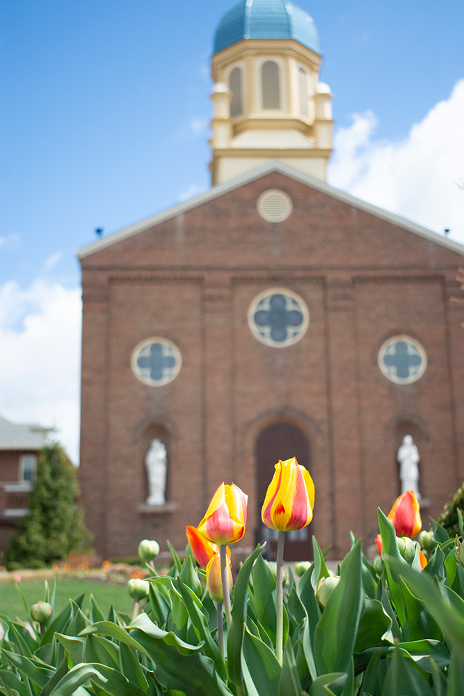 Tulips grow in front of the chapel