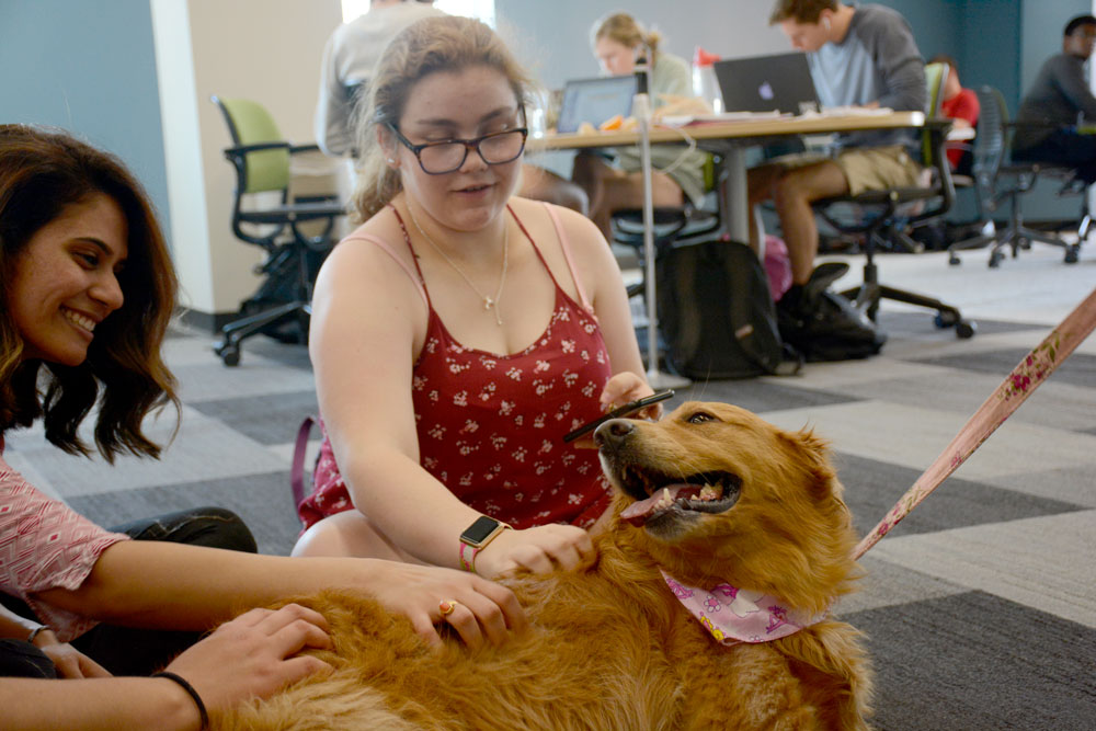 Students pet a dog