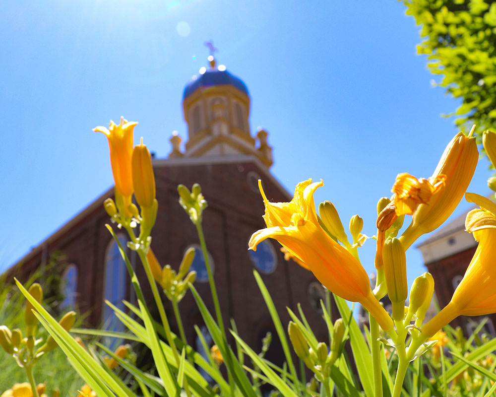 Daffodil outside the Chapel 