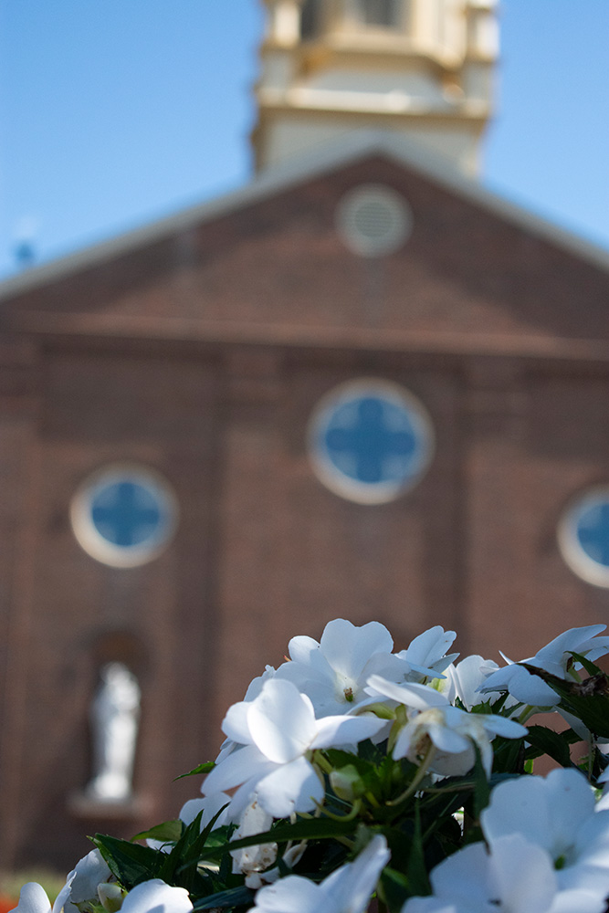 white flowers in front of the chapel