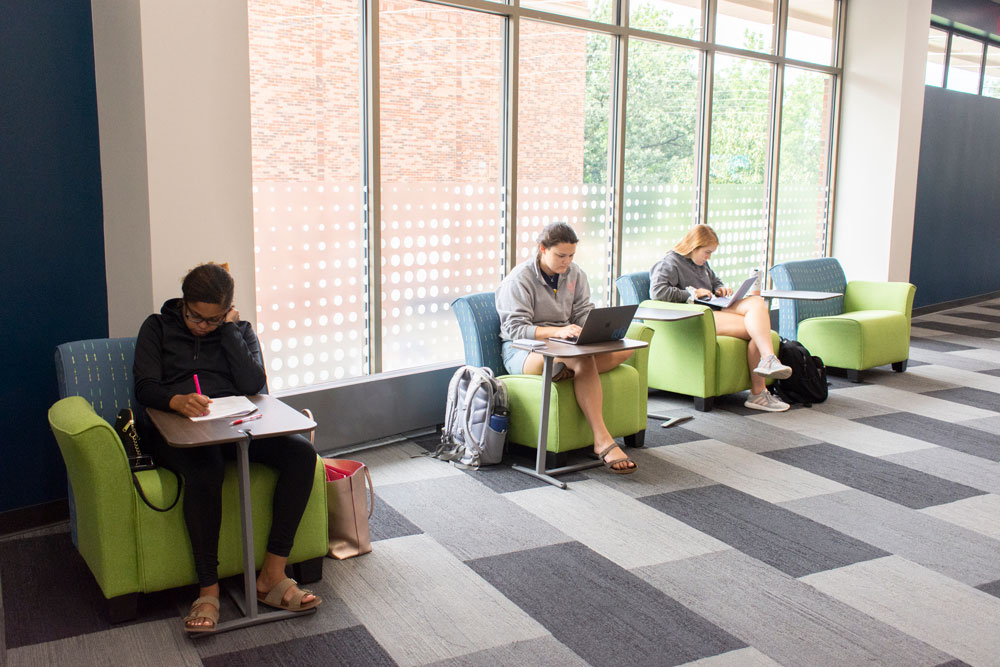 Students studying in chairs in front of bright windows.