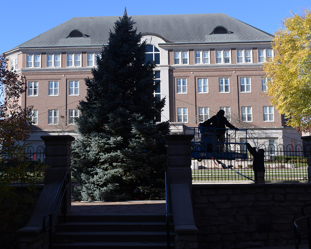 Workers decorate the campus Christmas tree.