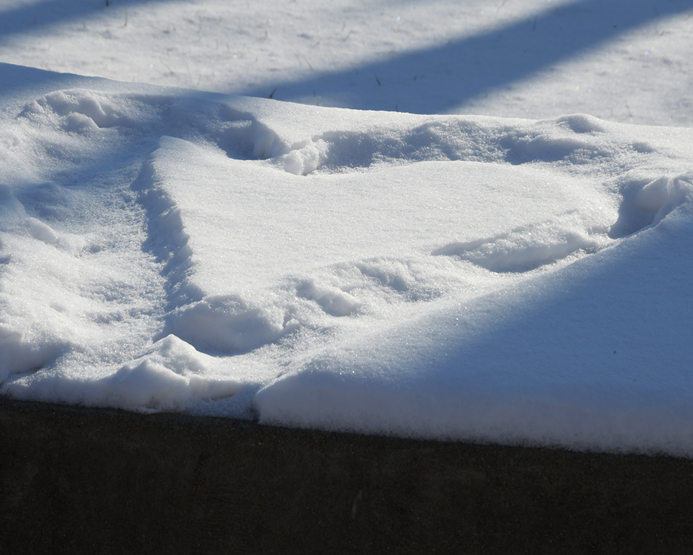 A heart drawn in the snow