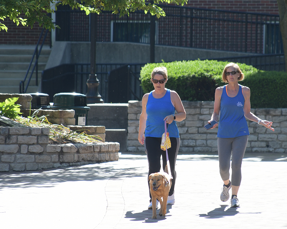 Two women walk a dog on campus