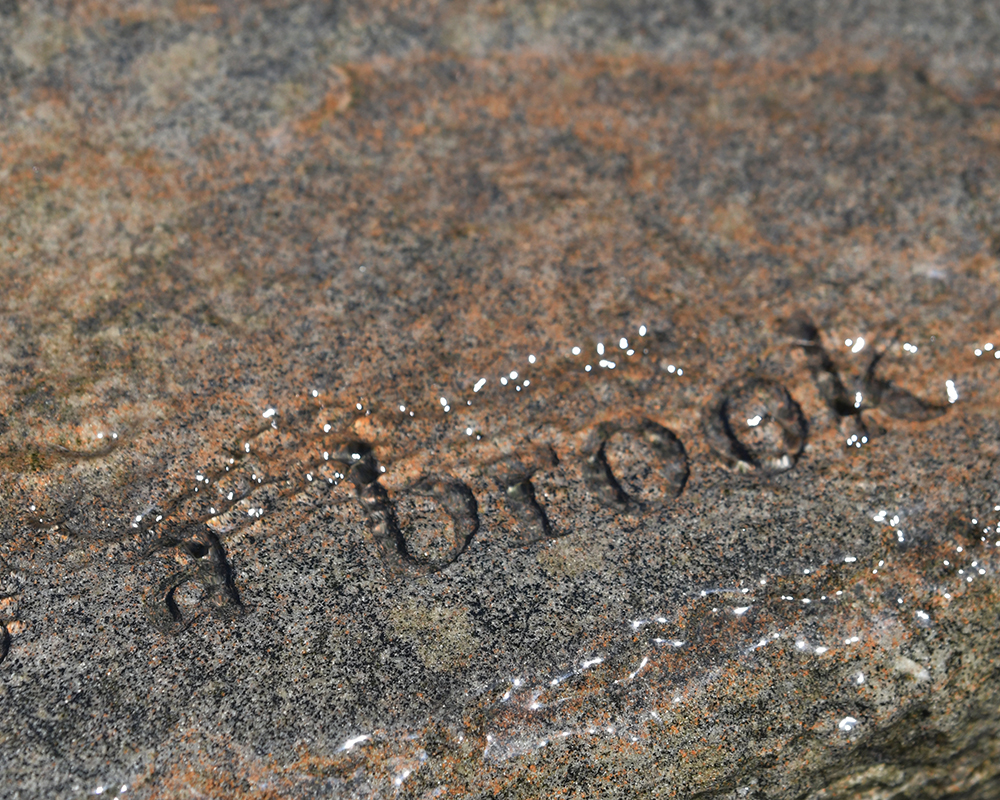 An engraved rock in an outdoor water feature