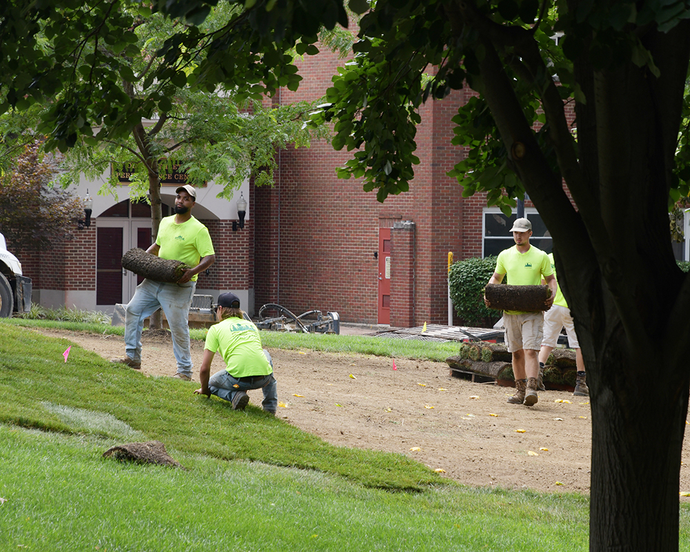 workers install grass 
