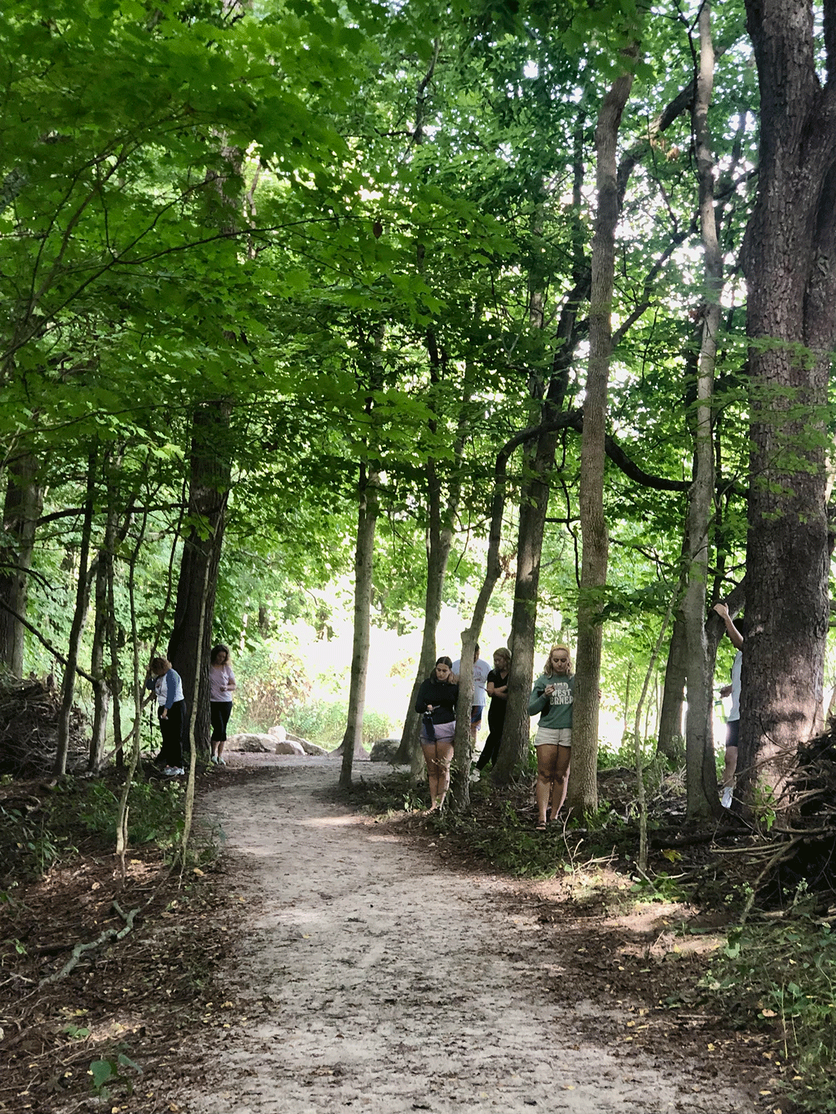 Photo of the hiking trail walked during the seminar.