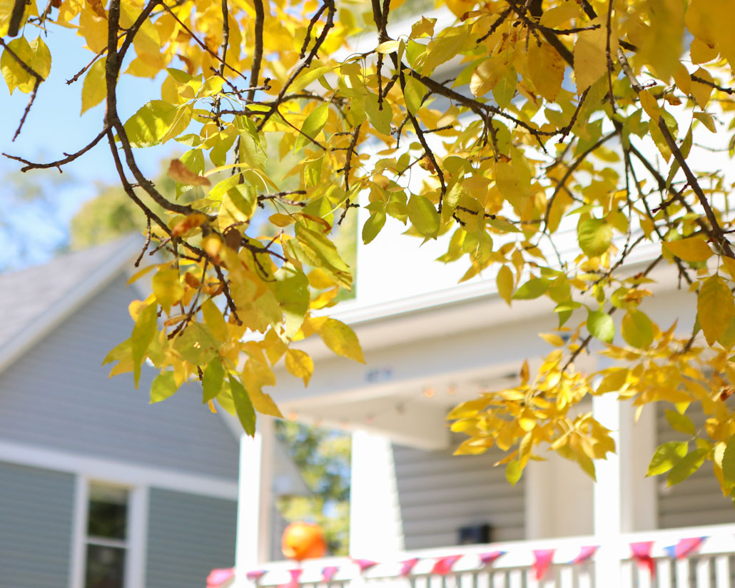 Yellow fall leaves dangle in front of a house in the student neighborhood.