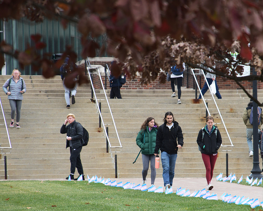 Students walk down a path lined in Transgender flags for Transgender Day of Remembrance