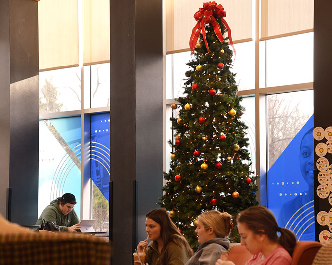 A Christmas tree in Miriam Hall