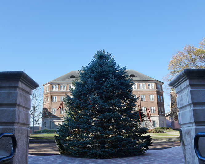 A large Christmas tree in Humanities Plaza