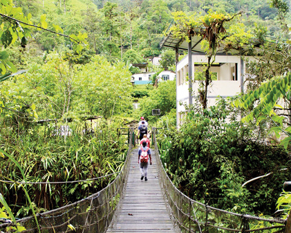 Students cross a suspension bridge in the forest.
