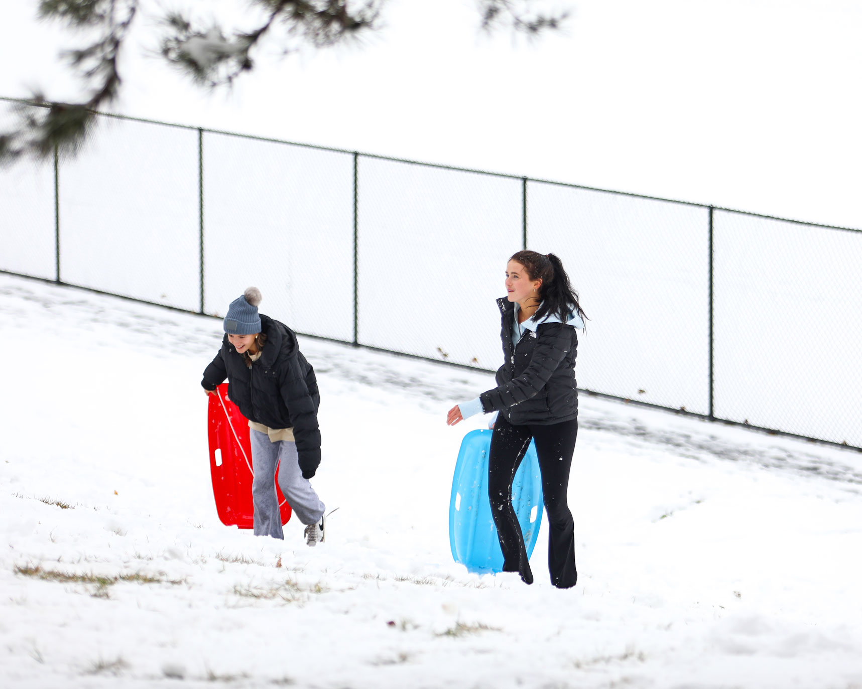 Two students carry sleds up Stuart Hill