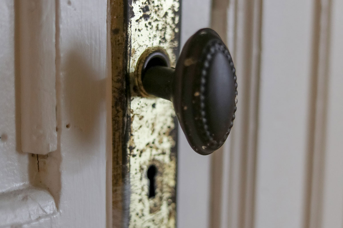 A close-up of an ornate doorknob.
