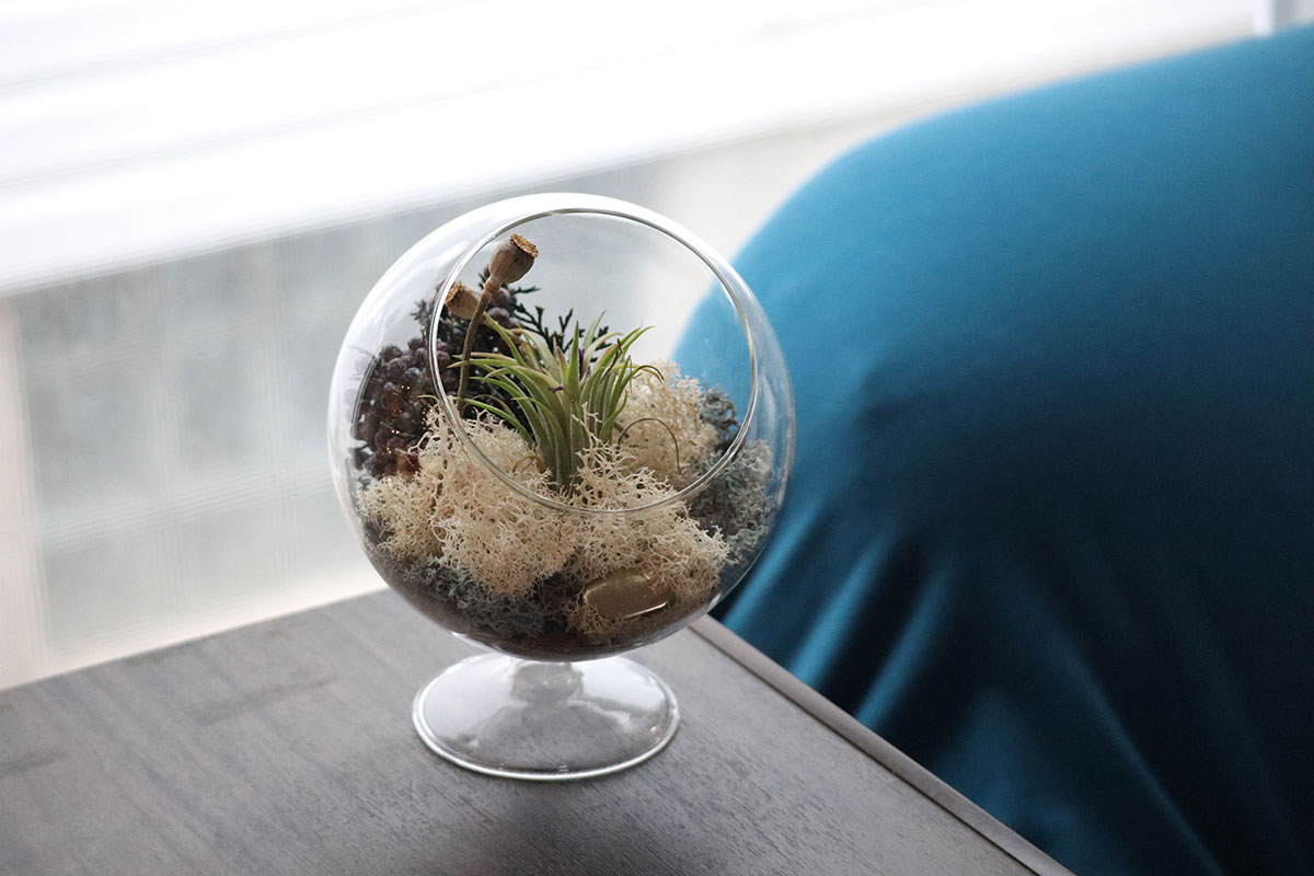 A small terrarium in  a glass bowl sits on a table.