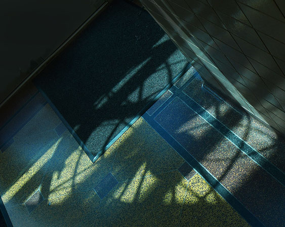 Shadows on the floor of Sherman Hall of the Foucault Pendulum
