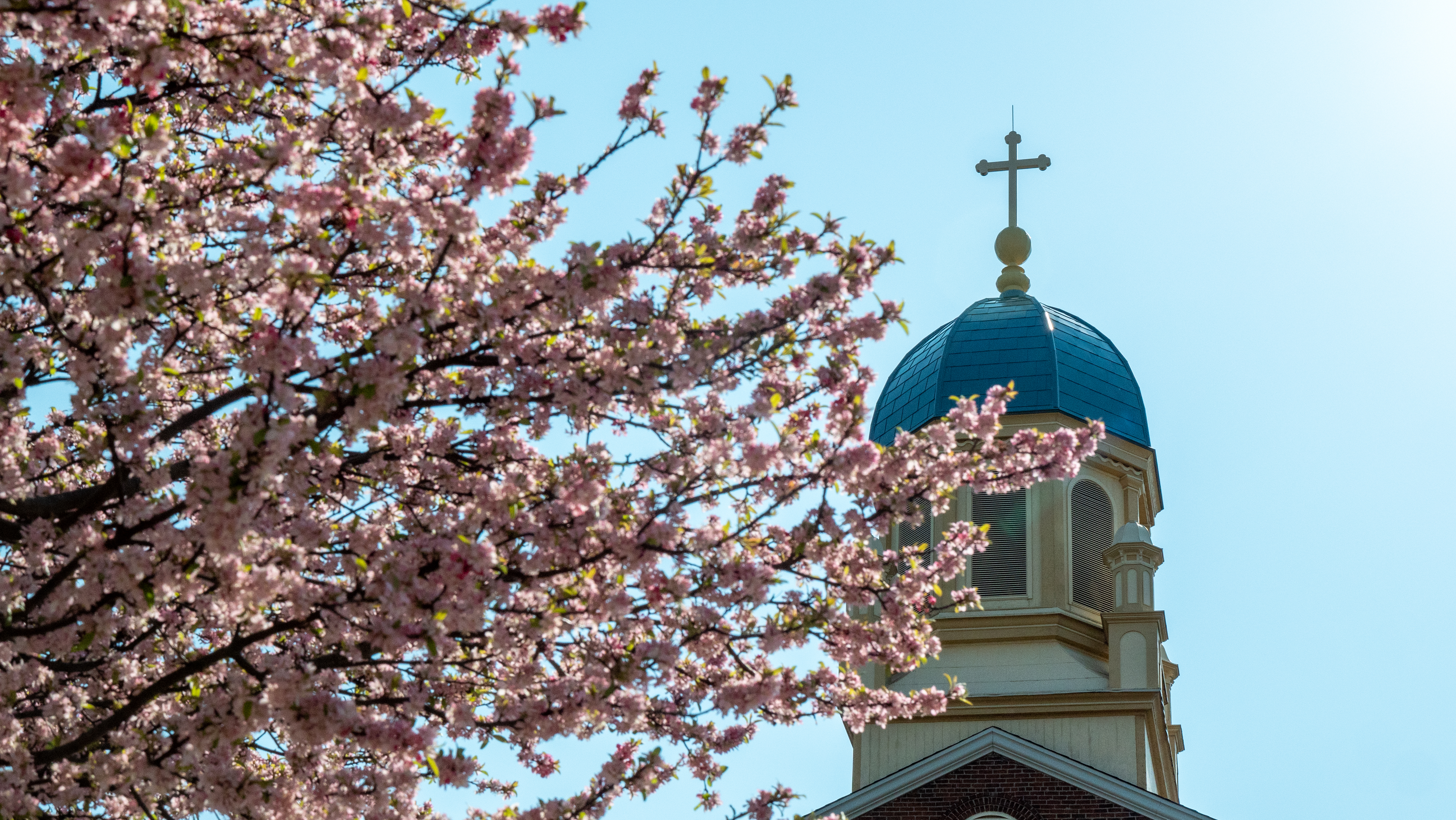 ${ Cherry Blossoms over Top of the chapel }