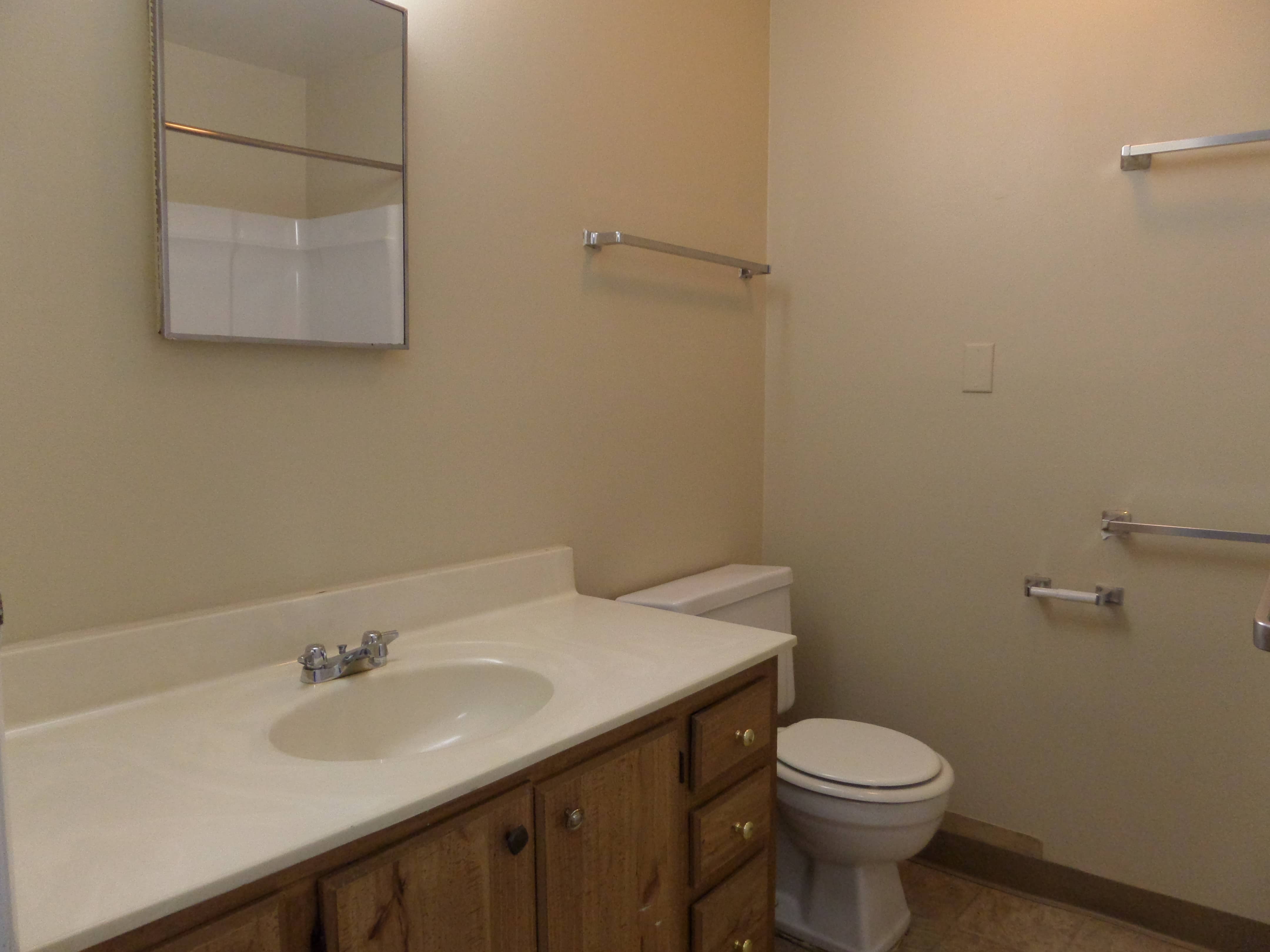Shared bathroom with sink and vanity