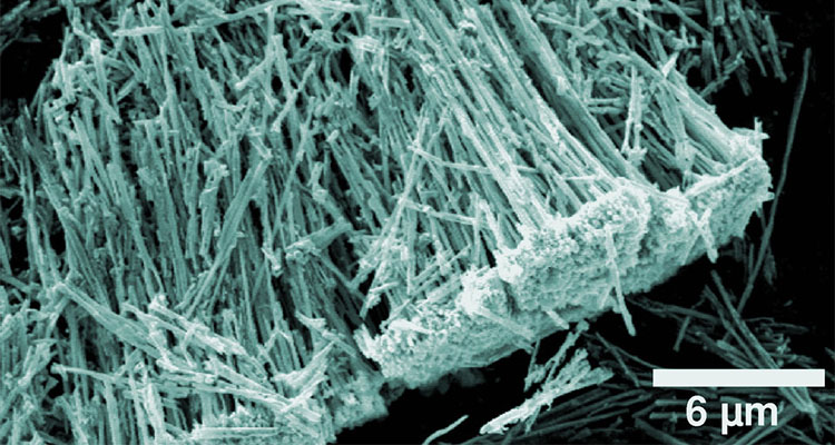 Metal-oxide nanotubes developed for use in gas sensing applications (Photo courtesy of the National Institute of Standards and Technology)