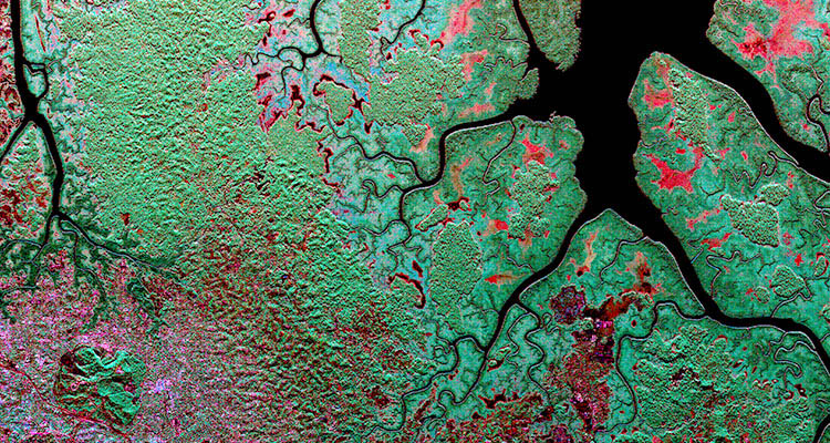 Synthetic Aperture Radar image (channels: HH-VV HV HH+HV) of Gabon's Akanda National Park and city of Libreville (March 6, 2016). This false color composite reveals the dominant structure of the landscape. Areas by color: red and pink are flooded vegetation and urban areas, while green is forests and mangroves. Courtesy NASA/JPL-Caltech